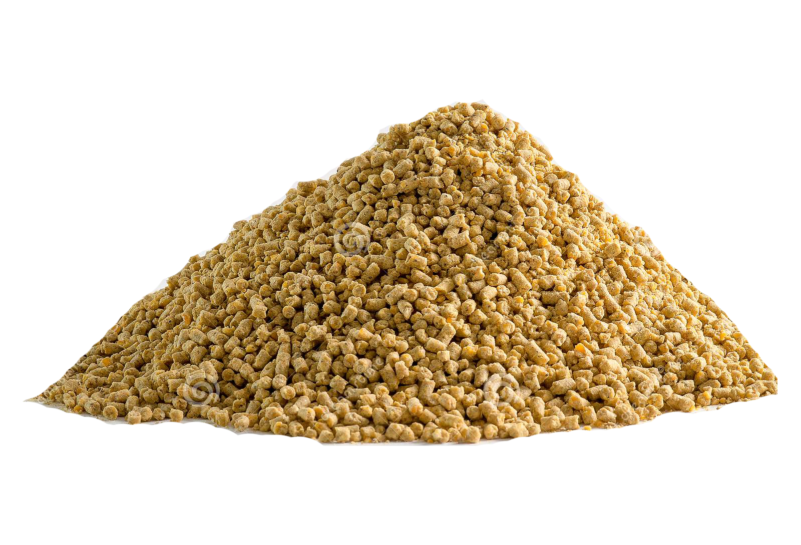Transfeed.png