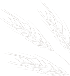 bg_1-4.png