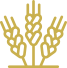 ico_count_1-6.png